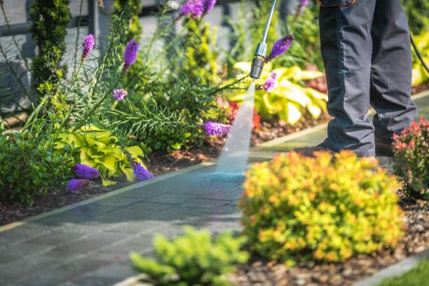 Best Building Exterior Pressure Washing in Mackinaw, IL