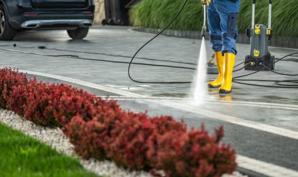 Best Gutter Cleaning and Brightening in Mackinaw, IL
